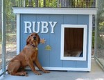 Ruby - Minnesota